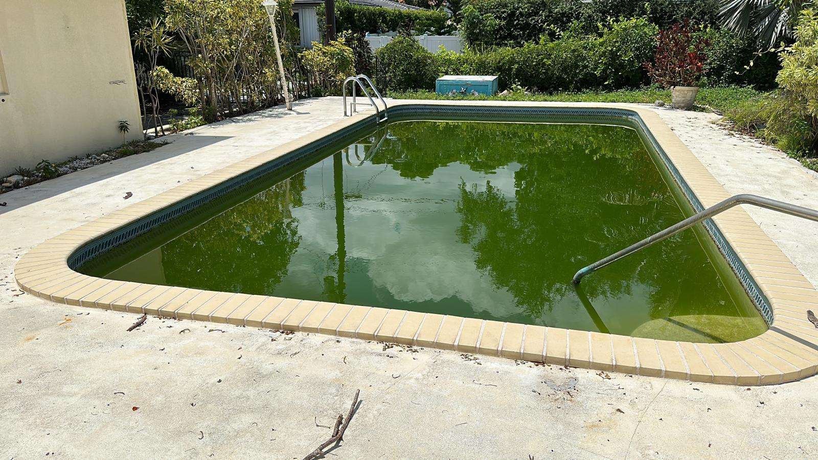 Pool before renovation, 565 NE 105 St